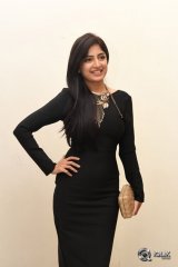 Poonam Kaur At Thikka Movie Audio Launch